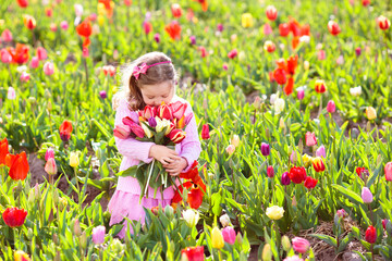 Little girl in tulip flower garden