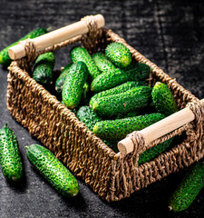 Fresh cucumbers in a basket. 
