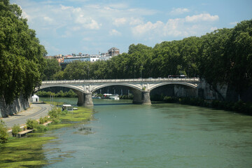 tiber river with bridge  in rome city