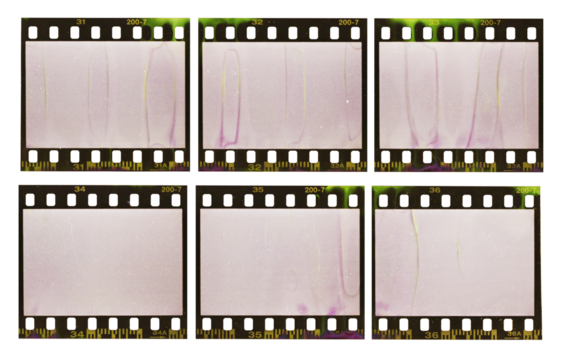 souped 35mm negative film strips, real scan of empty film material with scanning light interferences and developing smear marks, single retro photo placeholder.