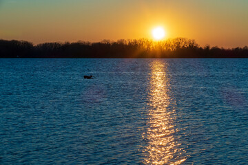 Rhein bei Iffezheim mit Blick auf Frankreich im Sonnenuntergang