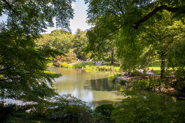 Fototapeta na wymiar Central Park in summer Ney York, NY, USA