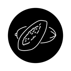Papaya and half color line icon. Pictogram for web page