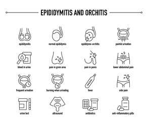 Epididymitis and Orchitis, symptoms, diagnostic and treatment vector icon set. Line editable medical icons.