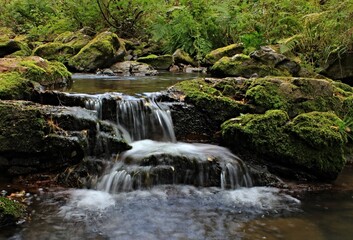 waterfall in the forest