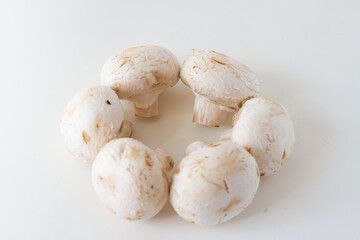 Fresh porcini champignon mushrooms on a white table