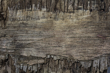 old wooden rustic background, vintage texture
