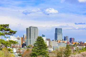 Fototapeta premium 春 仙台市内 