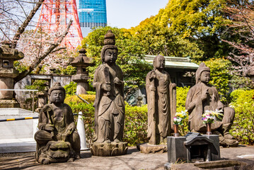 東京港区　増上寺　四菩薩像