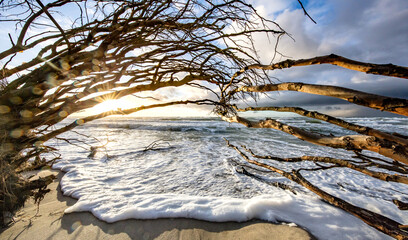 Fototapety na wymiar - Fototapeta24.pl