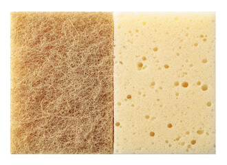Sponge with natural agave fiber isolated on white.