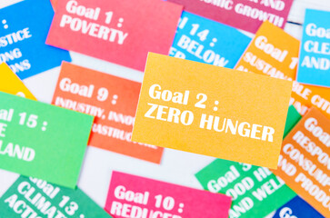 The Goal 2 : Zero Hunger. The SDGs 17 development goals environment. Environment Development concepts.