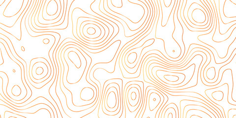 Abstract Topographic map background with wave line. gradient multicolor wave curve lines banner background design. Vector illustration. Line topography map contour background.