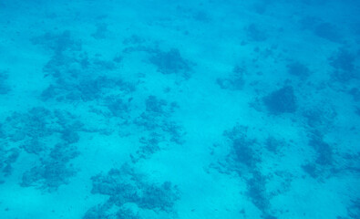 Fototapeta na wymiar Sandy bottom of the sea as a background.
