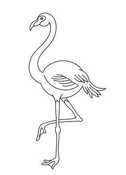recommend clip art: Flamingo bird. Editable outline stroke. Vector line illustration.