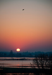 Fototapeta premium In the spring, the Goryn River spills so it can flood some of the meadow.