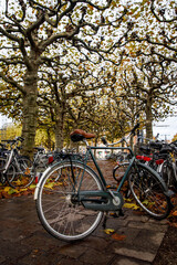 Fototapeta premium A lot of old bicycles on the bike parking in the Netherlands.