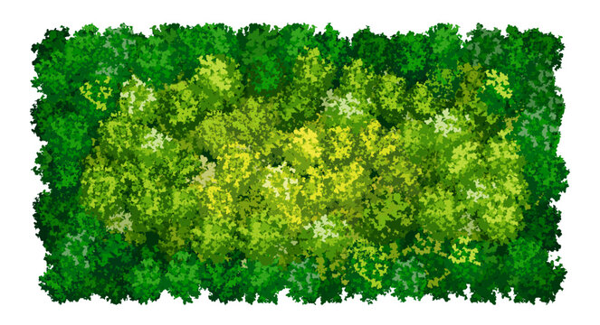 Fototapeta Bright green wall pattern with raindeer moss texture on white. Vector background. Vertical garden concept for home or office. Eco scandinavian interior. Growing decorative plants. Greenery wallpaper