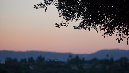 Sunset in Bethlehem of Galilee in Israel in the month of January