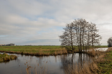 Fototapeta na wymiar Netherlands use trees to strengthen dam separating canal water as part of Dutch flood management system for the polder which is land reclaimed from the sea and converted into arable farm fields