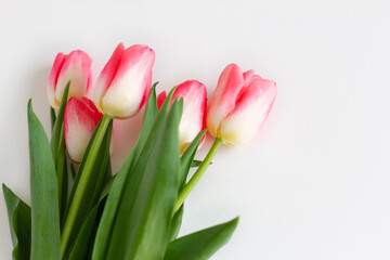 Pink tulip flowers bouquet on white background. Flat lay, top view. Selective focus. Shallow depth of field