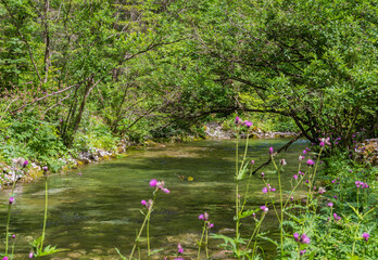 the ephemeral ponds of Tovel: small pearls with turquoise and indigo hues set within the basins of...