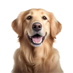 Foto op Aluminium Cute and happy dog ​​on transparent background © I LOVE PNG