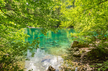 the ephemeral ponds of Tovel: small pearls with turquoise and indigo hues set within the basins of...