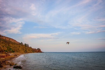 The Black Sea, or the Cossack Sea, is the sea between Europe and Western Asia. Connected by the Bosphorus Strait with the Sea of ​​Marmara.