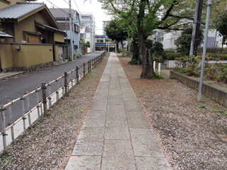 神社の参道