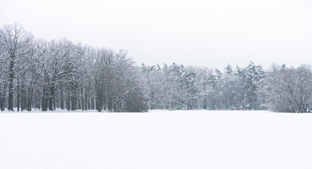 Winterlandschaft im Spreewald
