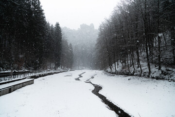 Bachlauf im Tal, s&auml;chsische Schweiz