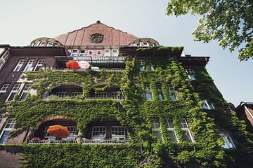 Begrünte Fassaden im Stadtteil Linden in Hannover, Deutschland
