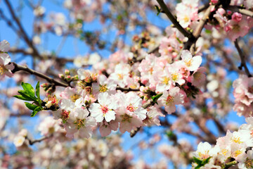 Wonderful spring day