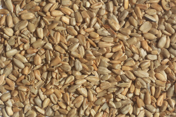 sunflower seeds roasted and peeled top view, texture