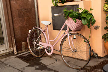Bicicleta retro de color rosa.