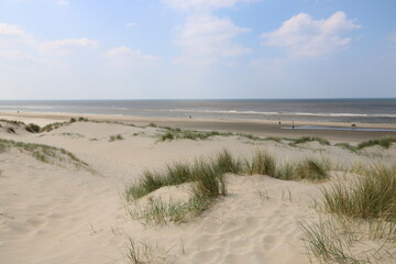 Fototapeta na wymiar Sanddünen am Meer in Noordwijk an der Nordsee in Holland