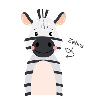 Zebra . Cartoon character . Vector .