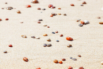 Sea stones amber yellow colored on natural fine beige  sand shore background, copy space. Natural colorful pebbles, monochrome Minimal nature summer landscape, beautiful beach, selective focus