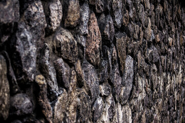 bark of a tree