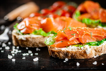 Salmon sandwich on the table with tomatoes and salt. 