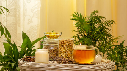 Home made herbal tea from wild plants and flowers. Home herbal apothecary concept. Healing and self...