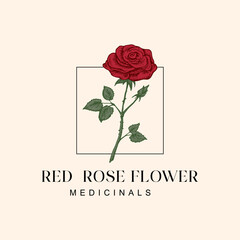 red rose logo vector icon