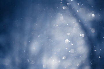 Blurred snowflakes in morning light in winter forest.