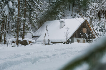 Snowy Nature in austrian forest