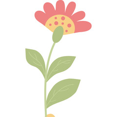 Beautiful flower. Decor