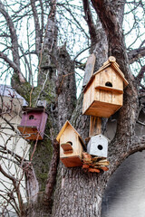 Four bird houses in a tree