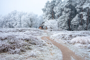 Pestrupergräberfeld bei Frost
