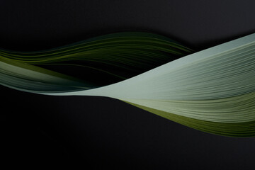 Green color strip wave curve paper line. Abstract texture black space background.