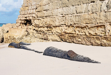 Vintage canon are buried in the sand below the ramparts at the Charles Fort in Bridgetown Barbados.